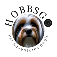 HobbsGo Site Logo