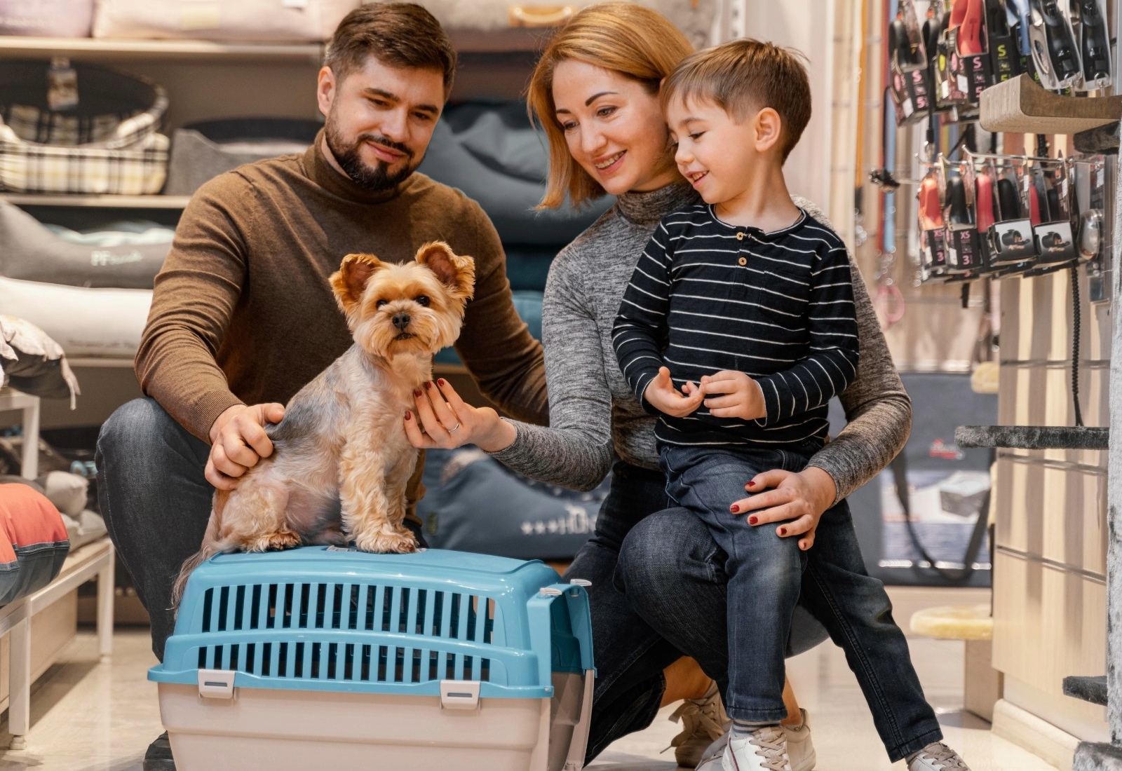 In-Cabin Pet Travel: India to Portugal Small pet traveling in cabin bag from India to Portugal
